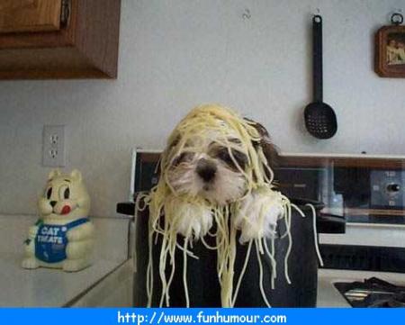 une tite faim??